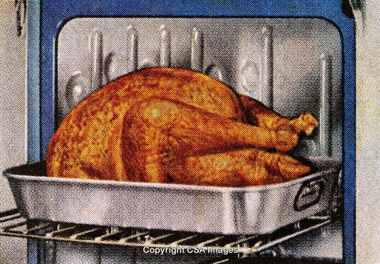 Golden Roasted Turkey Cooked in Oven for Holiday Feast