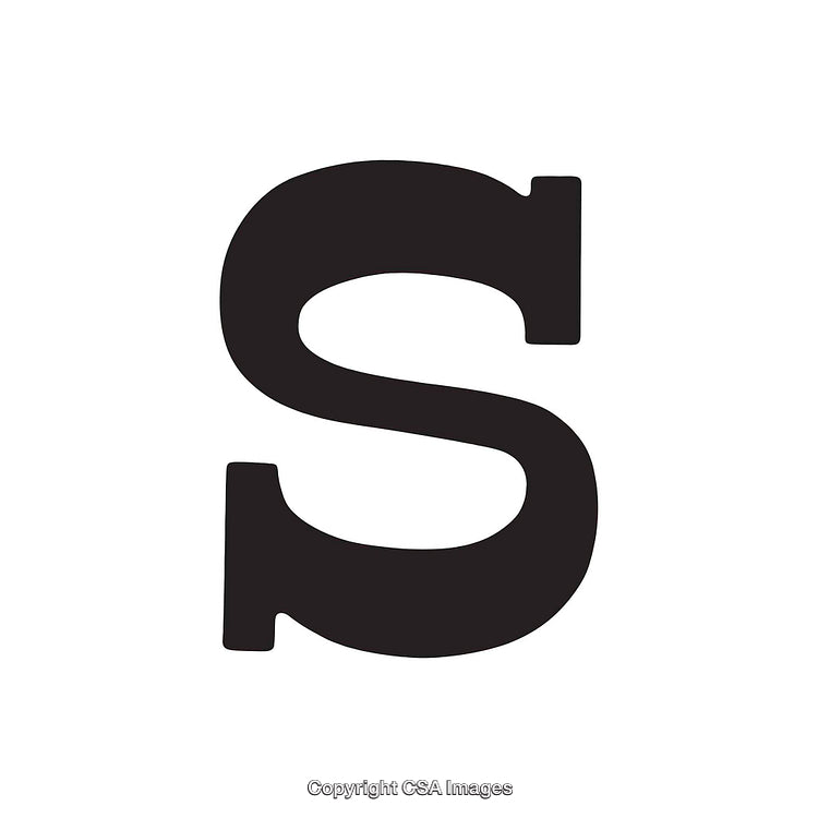 Black Letter S in Bold Font on White Background