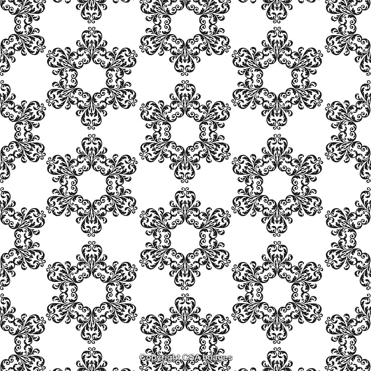 Black and White Decorative Pattern with Intricate Symmetrical Details