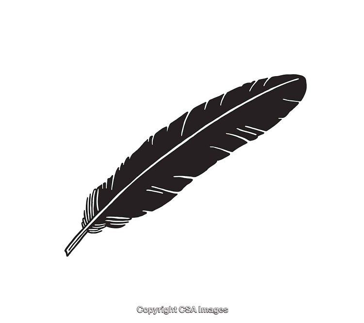 Black And White Feather Illustration Suitable for Design and Decoration Projects