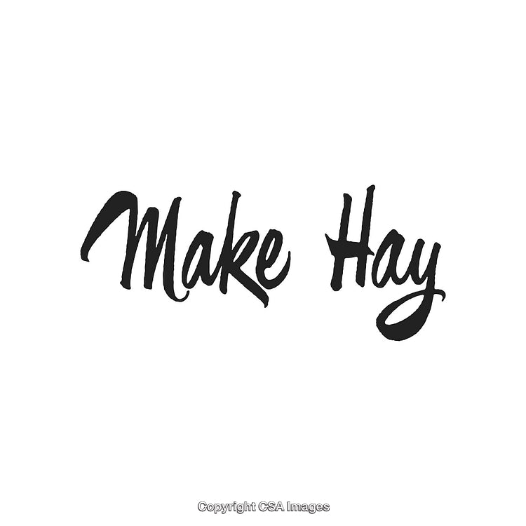 Inspirational Calligraphic Typography Saying 'Make Hay' on White Background