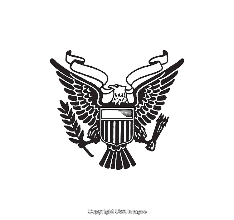 Majestic Bald Eagle Heraldic Symbol in Black and White Line Art