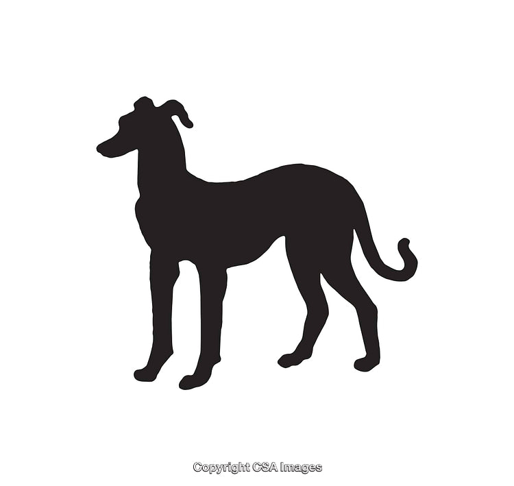 Silhouette of a Graceful Greyhound Dog in Black and White Illustration