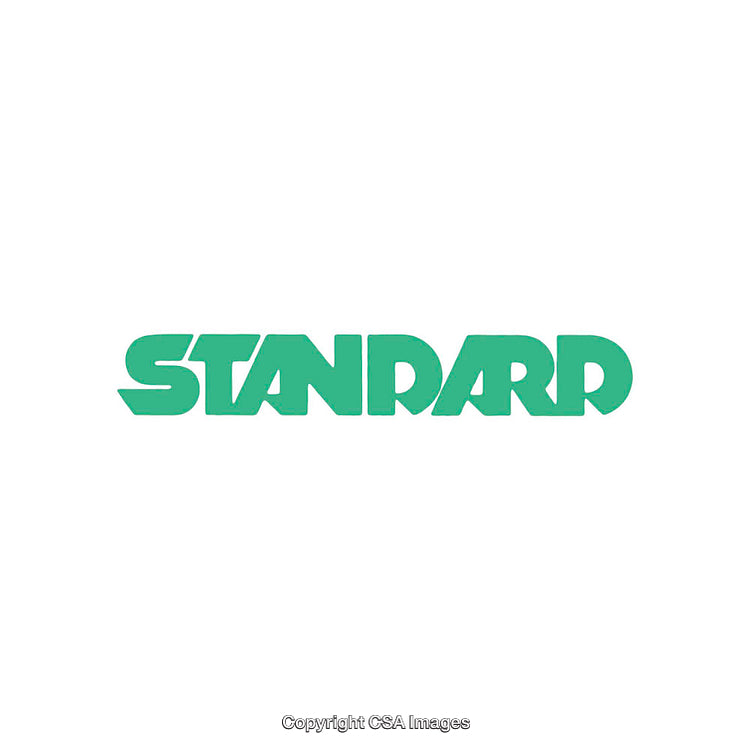 Bold Text Illustration Featuring the Word Standard in Turquoise Color
