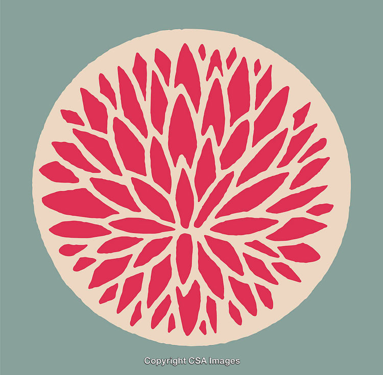 Vibrant Circular Red Floral Pattern on a Soft Teal Background