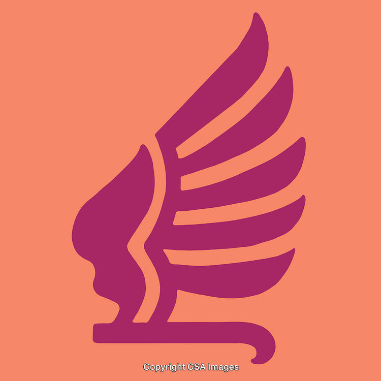 Elegant Stylized Wing Icon on a Simple Background