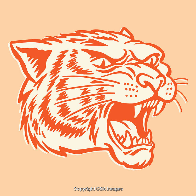 Line Art Illustration of Fierce Tiger Head Roaring in Bold Lines