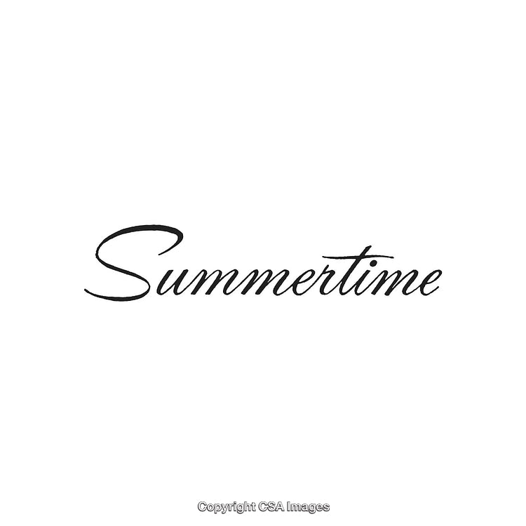 Elegant Script Typography Highlighting the Word 'Summertime' on White Background
