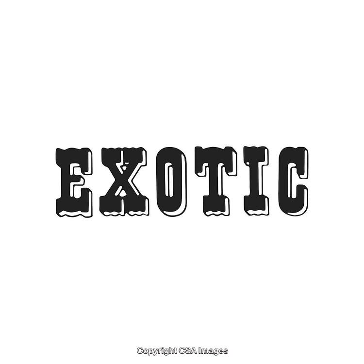 Bold Decorative Typography Art Featuring the Word Exotic in Vintage Style