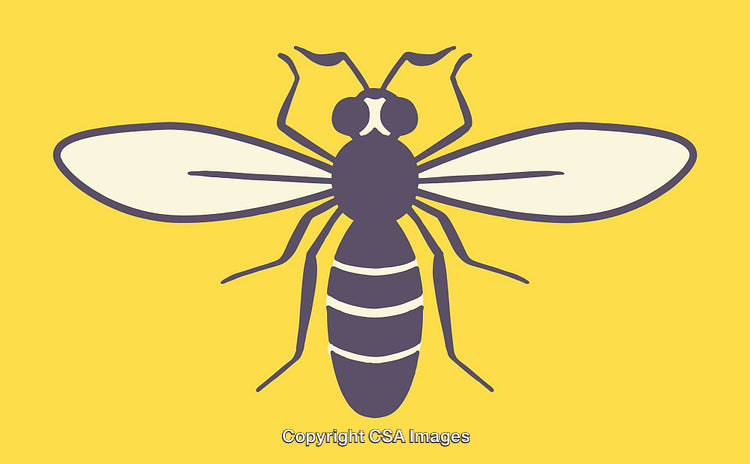 Illustration of a Simplistic Bee Silhouette in Yellow and Black