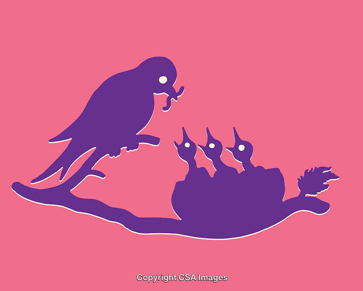 Vibrant Illustration of a Bird Feeding Chicks in a Nest