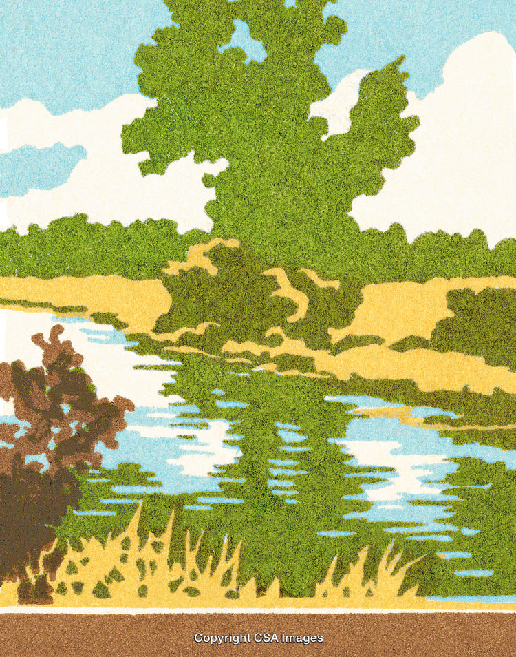 Scenic Landscape with River, Trees, and Serene Atmosphere in Illustrative Style
