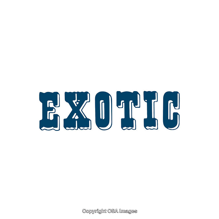 Stylized Exotic Text Graphic in Bold Decorative Font on White
