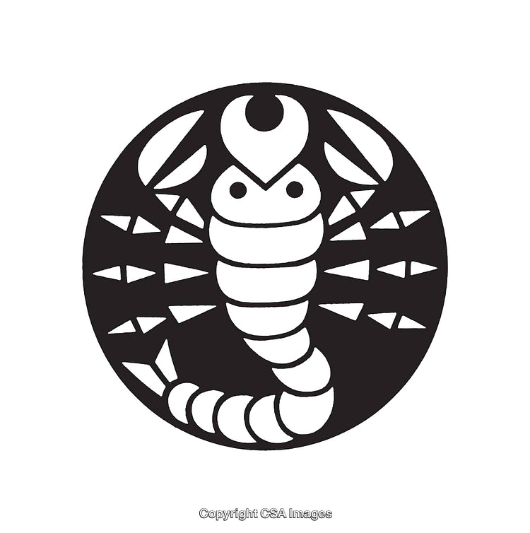 Black and White Line Art Illustration of a Scorpio Design