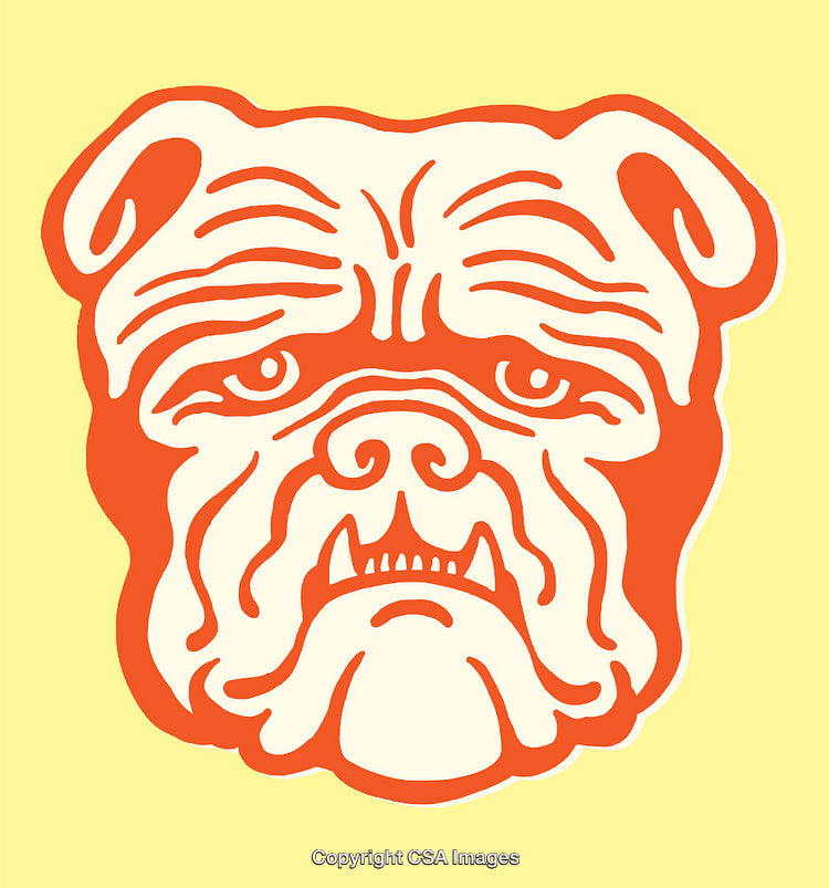 Bold Line Art Illustration of a Bulldog on a Bright Background