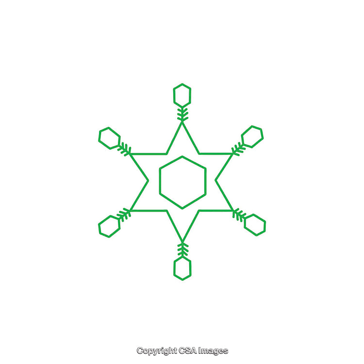 Green Geometric Snowflake Design with Hexagonal and Star-Like Elements