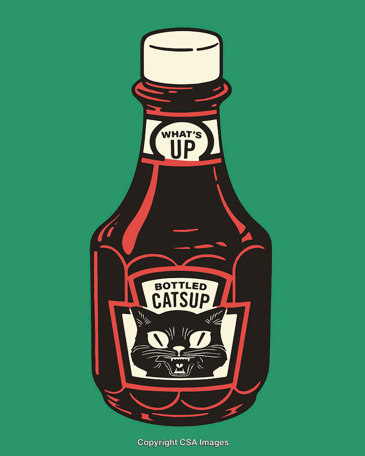 Vintage Catsup Bottle Design with Retro Style and Playful Elements