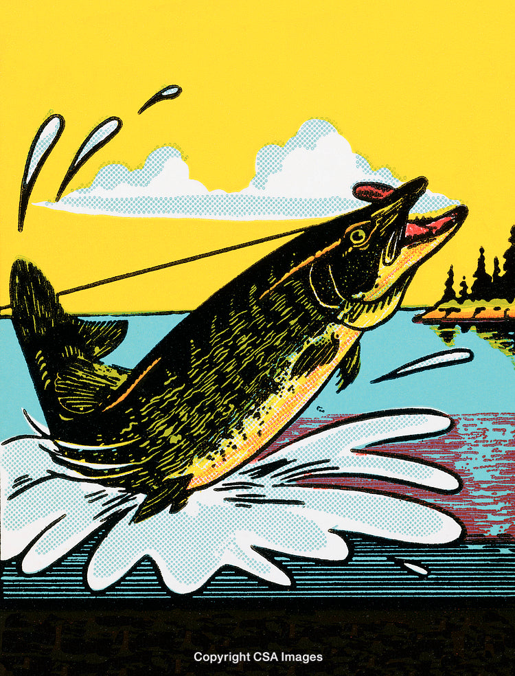 Illustrated Freshwater Fish Leaping from Water Against Vibrant Sky Scene