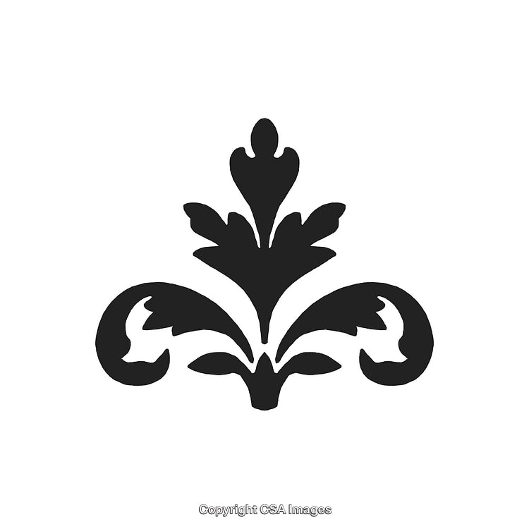 Ornamental Black And White Decorative Pattern Design Element