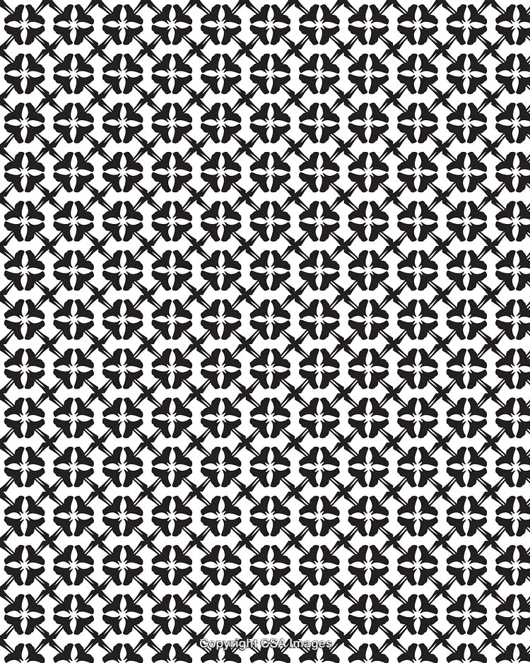 Black and White Floral Pattern Background with Geometric Repetition