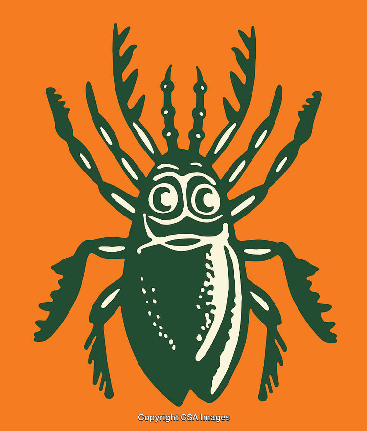 Green Beetle Design on Vibrant Orange Background in Artistic Style