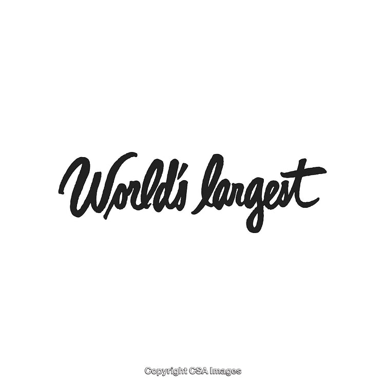Handwritten Script Text Reading 'World's Largest' on White Background