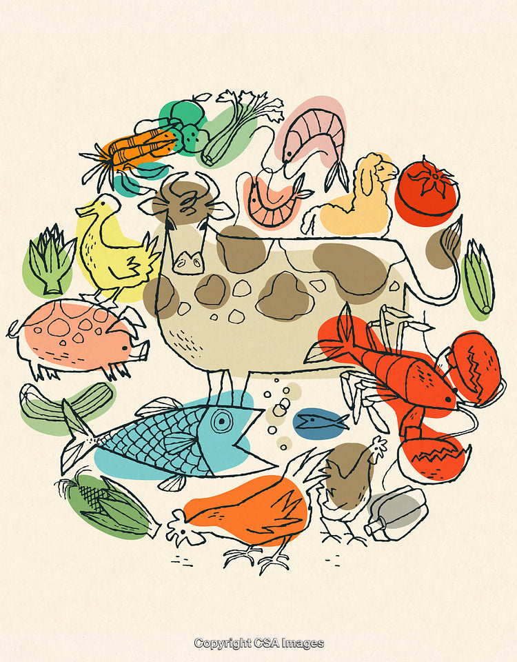 Colorful Illustration of Food Items Including Vegetables and Seafood Varieties
