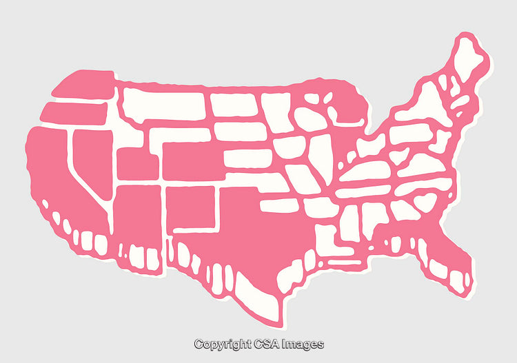 Modern Pink Artistic Map of United States with Abstract Design