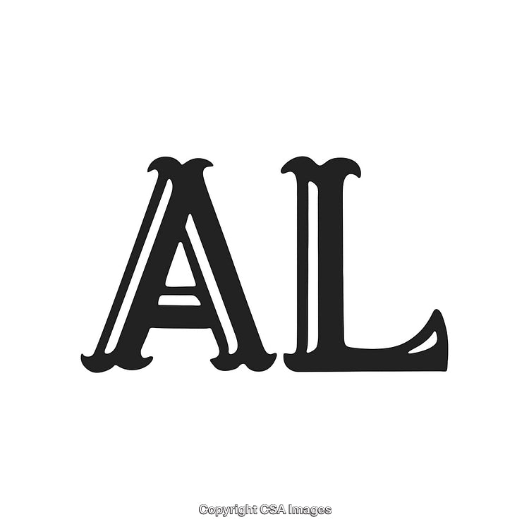 Bold Black Serif Lettering Art Display on White Background