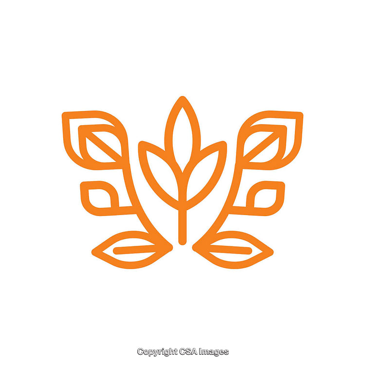 Orange Linear Floral Design Icon with Simple Leaves and Symmetry