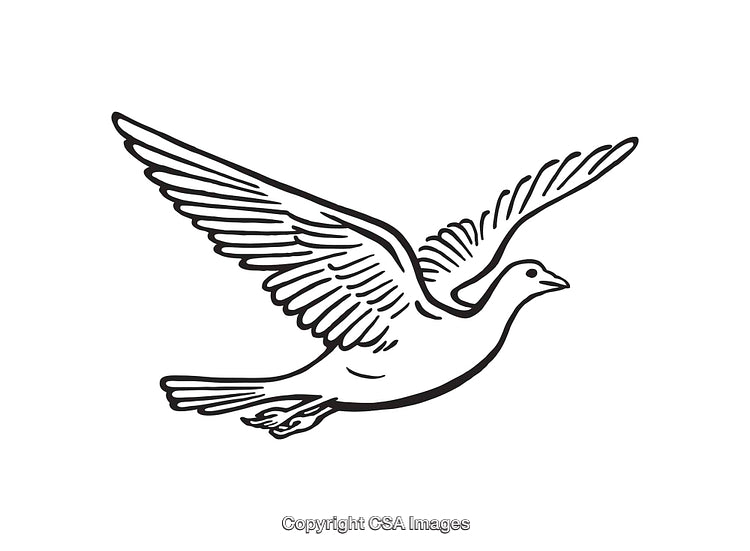 Black And White Line Art Illustration of a Flying Bird