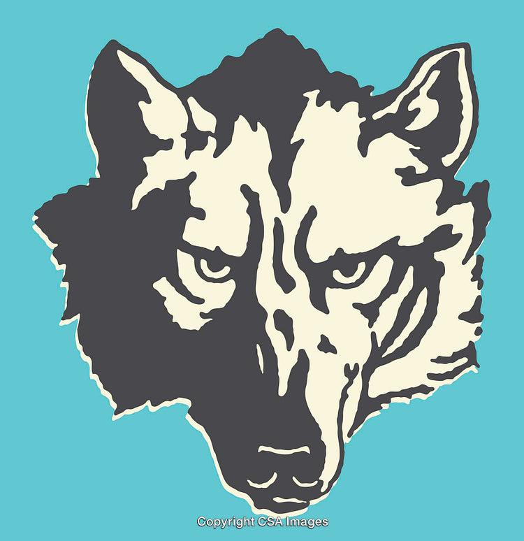 Wolf Illustration in Bold Colorful Line Art Style on a Blue Background