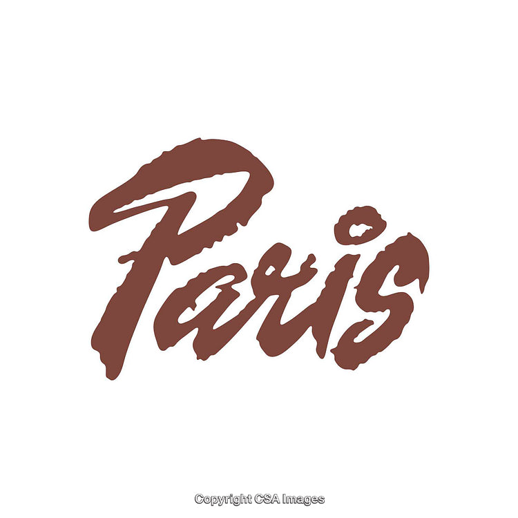 Stylish Typography Featuring the Word 'Paris' in Elegant Script