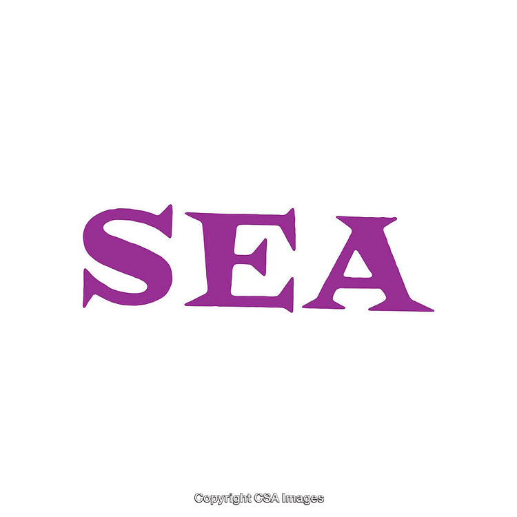 Simple Purple Text Design Featuring the Word 'Sea' in Bold Typography