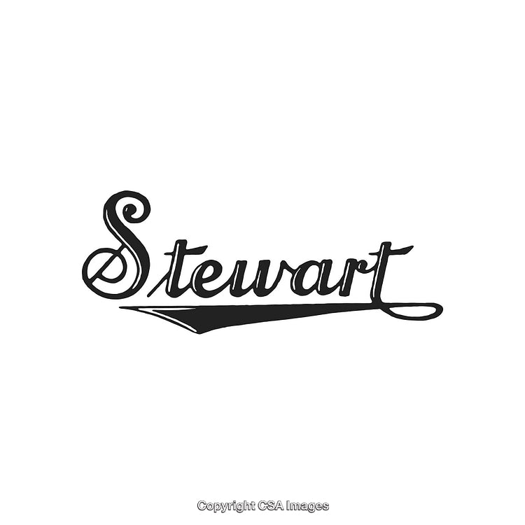 Elegant Handwritten Name Design with Stylish Calligraphy and Curved Patterns