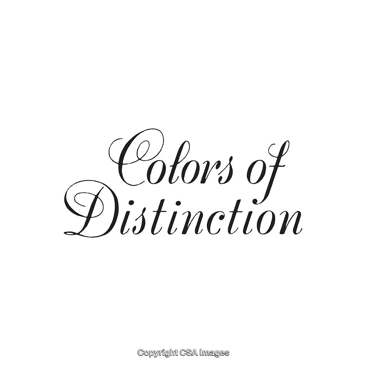 Elegant Typography Design Featuring the Text 'Colors of Distinction'