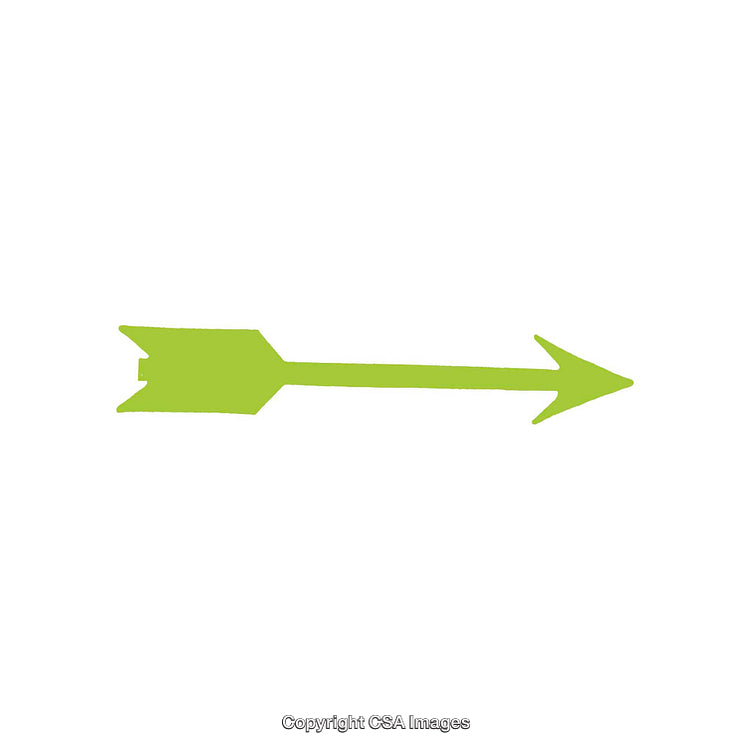 Bright Green Arrow Shape On White Background for Navigation or Design