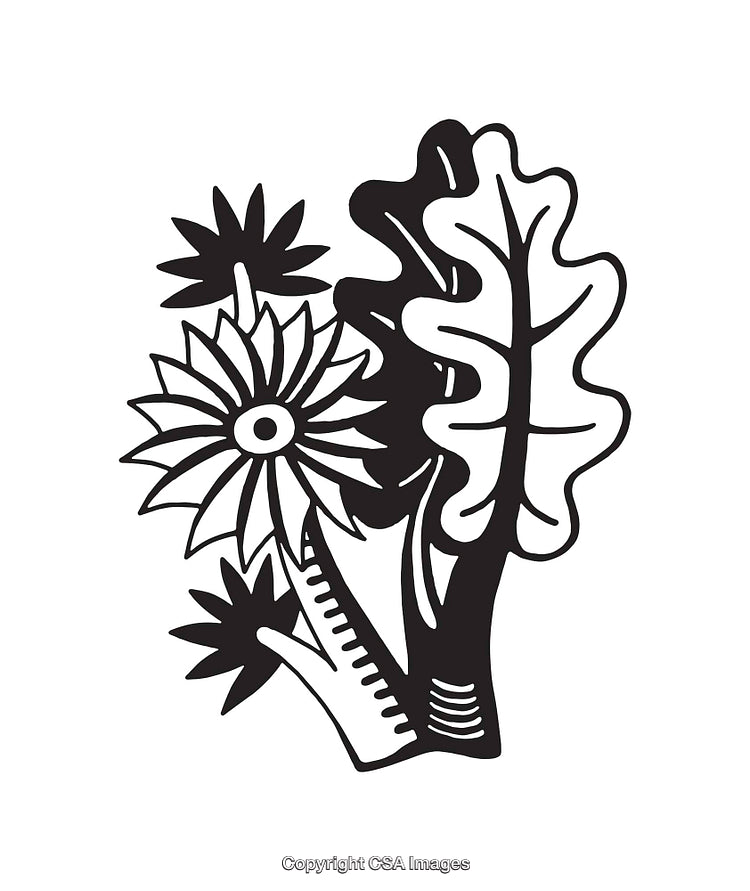 Black and White Stylized Line Art of Abstract Floral Shapes