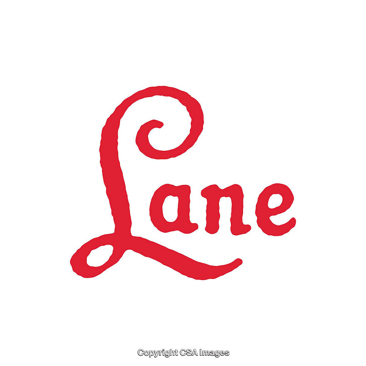 Elegant Red Script Font Displaying the Word 'Lane' on White Background
