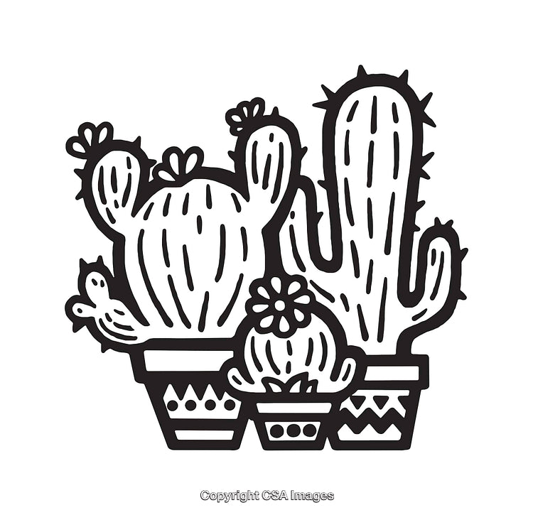 Decorative Line Art of Potted Cacti with Flowers in Black and White