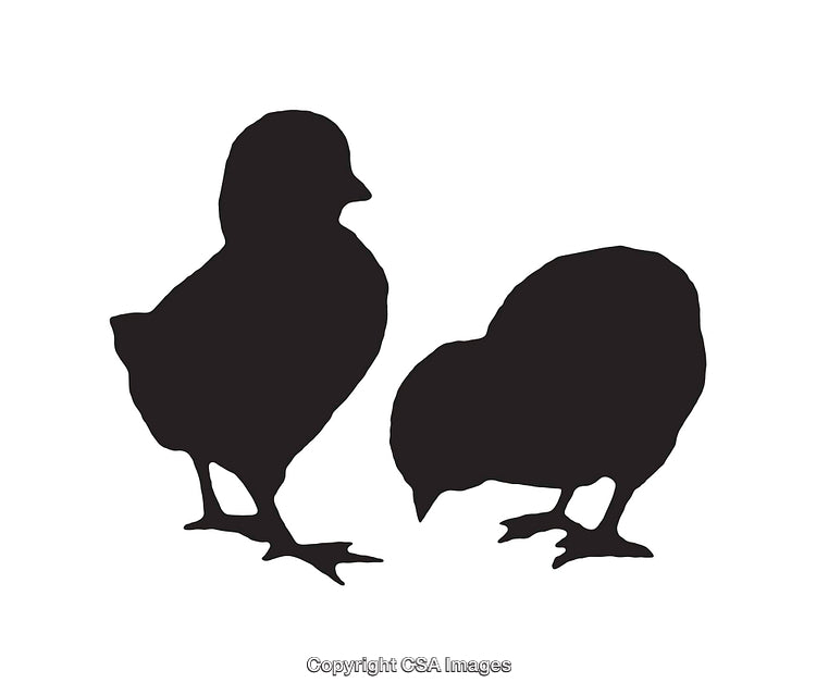 Silhouette of Two Chicks in Minimalistic Black and White Style