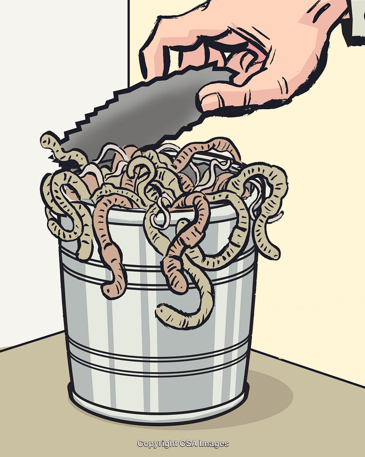 Opening a Can of Worms
