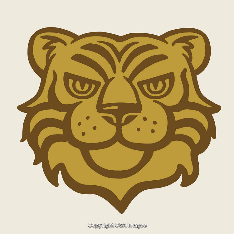 Illustration of a Wild Tiger Face in Bold Line Art Style