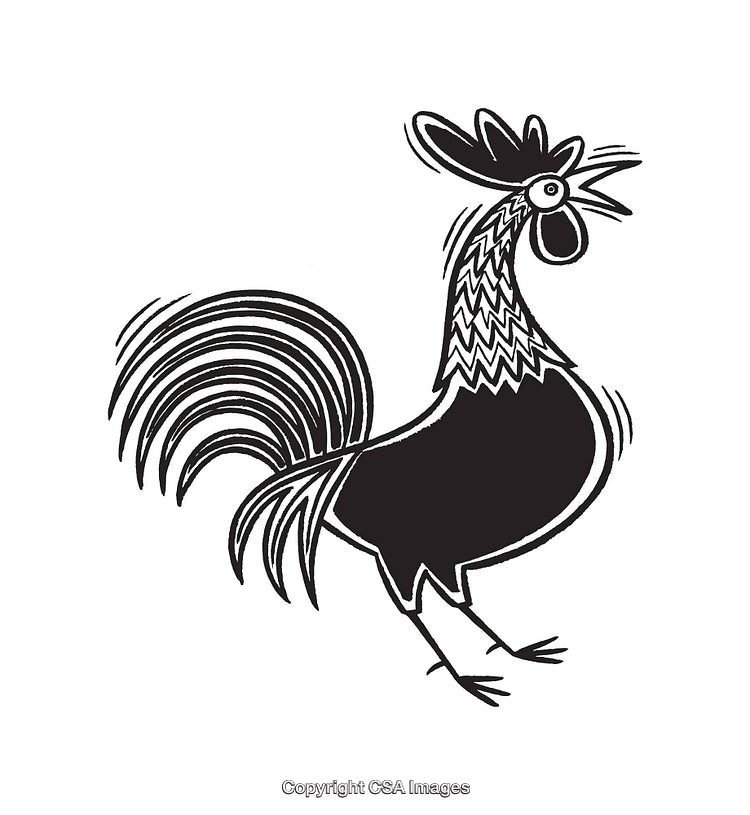 Black and White Line Art Illustration of a Crowing Rooster