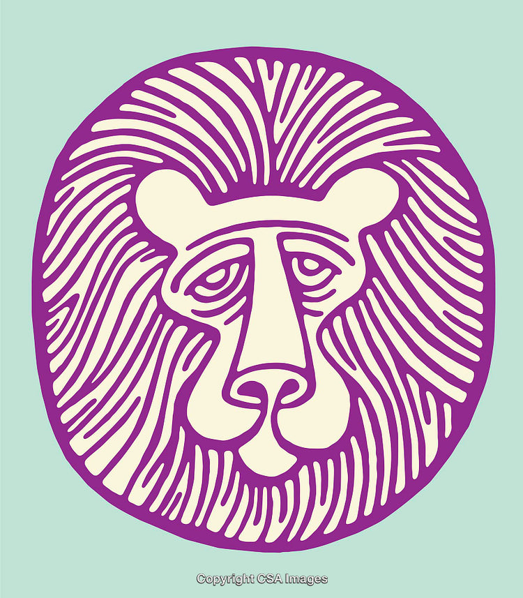 Colorful Line Art Illustration of a Lion Face