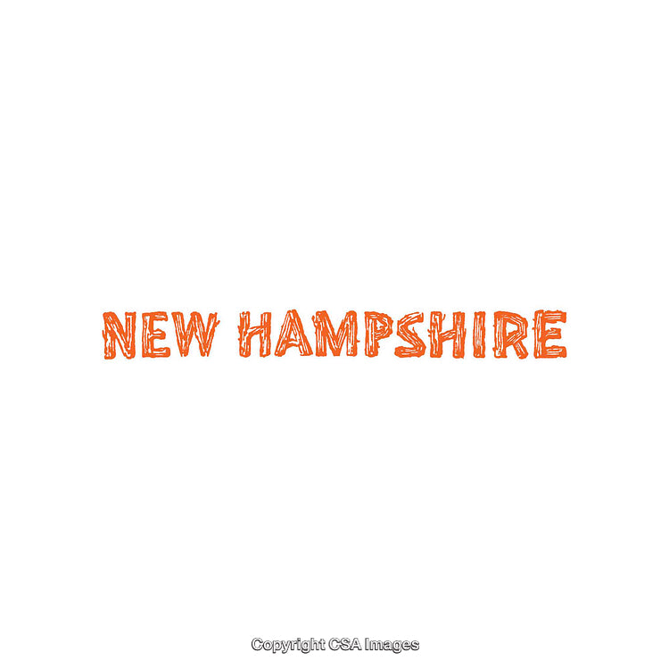 Stylized New Hampshire Text in Orange Sketch Font on White Background