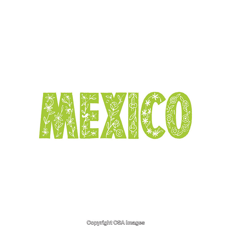 Green Mexico Themed Word Art with Decorative Floral Patterns