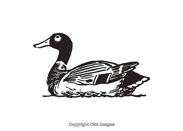 Black and White Line Art Illustration of a Sitting Goose