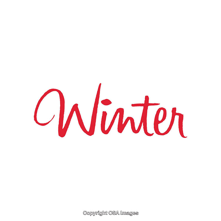 Elegant Red Script Typography Depicting the Word 'Winter' on a White Background