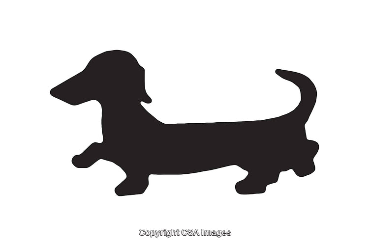 Silhouette Illustration of a Dachshund in Black on White Background
